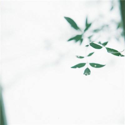 次元契约官方版(暂未上线)v1.0.0 安卓版