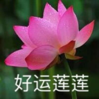 主宰之王bt果盘版下载